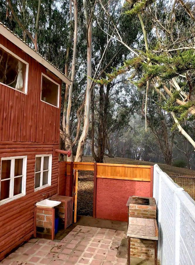 Cabana Con Tinaja Caliente, Quincho Y Pet Friendly Isla Negra Eksteriør billede