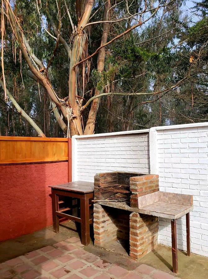 Cabana Con Tinaja Caliente, Quincho Y Pet Friendly Isla Negra Eksteriør billede